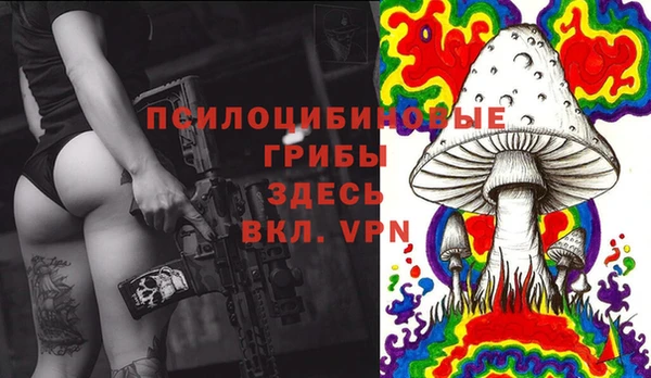 a pvp Баксан