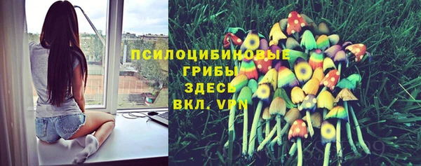 кокс Осташков