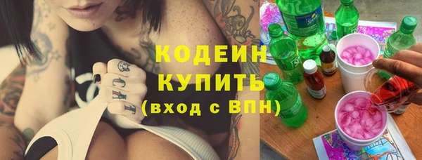 сатива Няндома