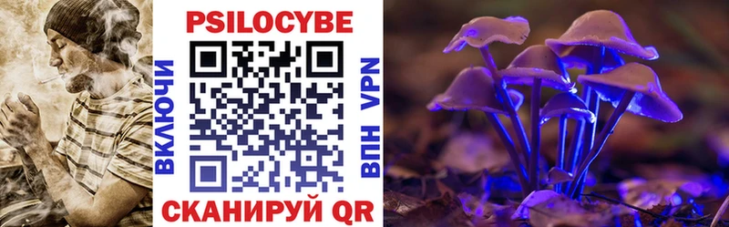 Галлюциногенные грибы Cubensis  Томмот 