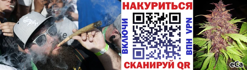 Шишки марихуана семена  Томмот 